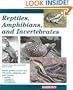 Reptiles, Amphibians, and Invertebrates: An Identification and Care Guide