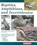 Reptiles, Amphibians, and Invertebrates: An Identification and Care Guide