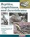 Reptiles, Amphibians, and Invertebrates: An Identification and Care Guide