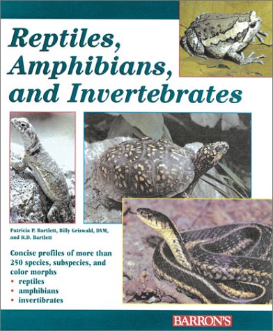 reptiles amphibians and invertebrates an identification and care guide