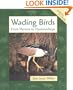 Wading Birds (Animals in Order)
