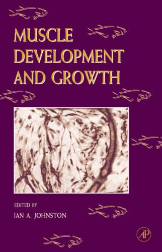 Muscle Development and Growth: v. 18 (Fish Physiology)