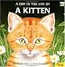 Day in the Life of a Kitten -...