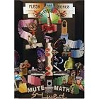 Flesh And Bones Electric Fun by Mute Math