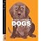 Recommend Nonfiction Children's Books by Steve Jenkins