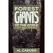 Forest Giants of the World: Past and Present