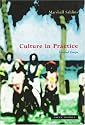 Culture in Practice: Selected Essays
