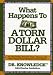 What Happens to a Torn Dollar Bill?: Dr. Knowledge Presents Facts, Figures, and Other  Fascinating  Information About Money
