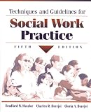 Techniques and Guidelines for Social Work Practice (5th Edition)