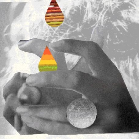 Broadcast - Locusts Lyrics - Zortam Music