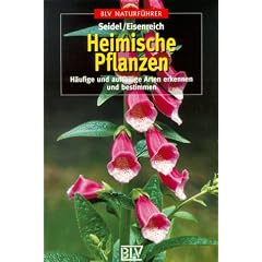 Heimische Pflanzen. Häufige und auffällige Arten erkennen und bestimmen (BLV-Naturführer) (Taschenbuch)
