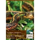 アニマルプラネット ビューティー・オブ・スネーク [DVD]