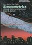 The Practice of Econometrics