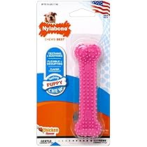Nylabone Just For Puppies Petite Pink Dental Bone Puppy Dog Chew Toy
