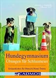 Produkt-Bild: Hundegymnasium: &Uuml;bungen f&uuml;r Schlaumeier