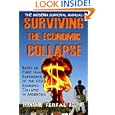 The Modern Survival Manual: Surviving the Economic Collapse by Fernando Ferfal Aguirre