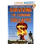 The Modern Survival Manual: Surviving the Economic Collapse