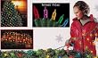 4' x 6' Multi-Color Mini Net Style Christmas Lights - Green Wire