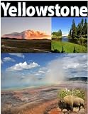 Yellowstone National Park: picture guide to Yellowstone
