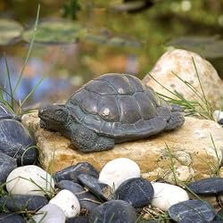 Turtle Key Keeper