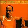 Essential Dub: Ruff Cuts and Hard Riddims from the Mixmaster
