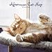 Afternoon Cat Nap 2010 Wall Calendar