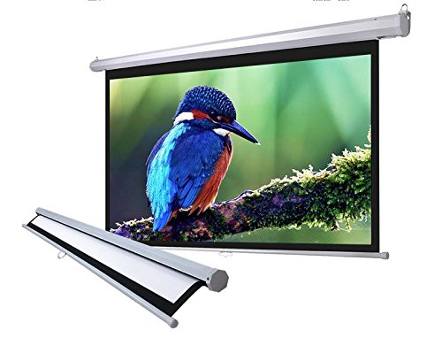 119" Manual Pull Down Photo