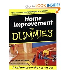 Home Improvement For Dummies