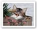 Rocky Selland by Lowell Herrero 9.5"x7.5" Art Print Poster