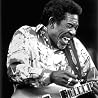 Image of Luther Allison