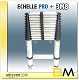 Echelle 3,8m pro plus Woerther