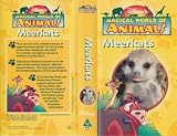 Disneys Magical World of Animals : Meerkats (Video Tape/PAL)