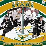 Dallas Stars 2010 12 x 12 Team Wall Calendar