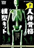 光る 人体骨格模型キット (科学と学習PRESENTS)