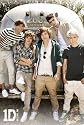 Music - Pop Posters: One Direction - Airstream - 35.7x23.8 inches