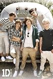 Music - Pop Posters: One Direction - Airstream - 35.7x23.8 inches