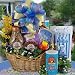 Crazy Cat Gift Basket : Basket Theme GET WELL SOON : Bow Style Elegant Hand Tied Bow