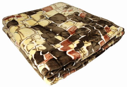 Super Soft Micro-Plush 2Ply Polyester Blanket Queen - Brick