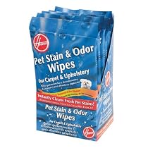 Hoover Pet Stain and Odor Wipes