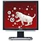 Viewsonic 19" LCD Monitor - Black / Silver