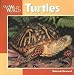Turtles