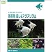 Ǯ�ӵ� �������������ꥦ��(1WeekDVD)
