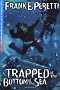 Trapped at the Bottom of the Sea (Cooper Kids Adventures (Crossway Paperback))