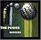 The Posies Foto 3