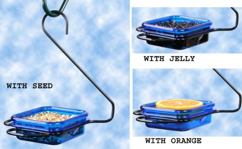 Jelly and Mealworm Feeder Hanging