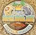 Super Bowl 29 button or pin (49ers 49, Chargers 26)