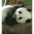 コロリンコパンダ<br>張 志和著 <br>ポプラ社<br>924円<br>ISBN:9784591119693