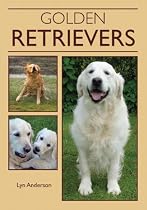 Golden Retrievers