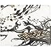 FOX Encore Wallet - White Image