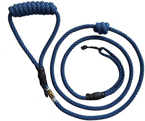 H4Legs 1 Count Dog Leash, 5-Feet Long, Blue